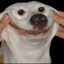 MrDudeGuySir
