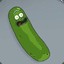 pickle rick