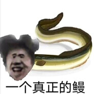 不对
