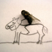 卢本伟大战香猪