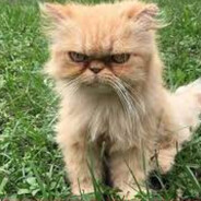 BenSıccamLaa *********