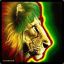 BanneD | =/&gt;Rocinha 762&lt;\=