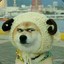 快乐的三文鱼