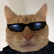 dominik's avatar