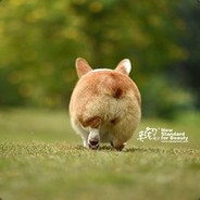 Astralis的Xyp9x本人