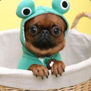 THE BIG D - steam id 76561197970985497