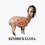 Kendrick llama