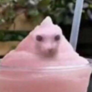 dumpling