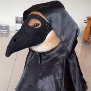 明朝第一鸟枪手