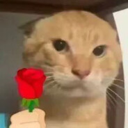 88787