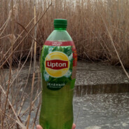 Lipton