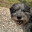 MuRoC