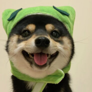 咖喱喜欢吃吃奶黄包