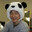 Panda Jackie Chan