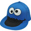 cookie monster flat brim