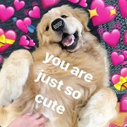 Cute Doggg