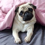 Księżniczka Zosia❤