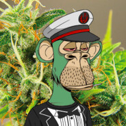 Coaz98 - steam id 76561199177120573