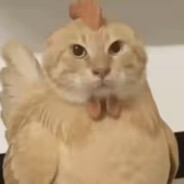 郭神