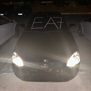 R4FSim