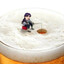 misato