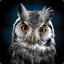 Master Owl