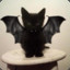 Batmeow