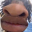 Ray Pest