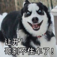 孤独早已习惯【皮皮】