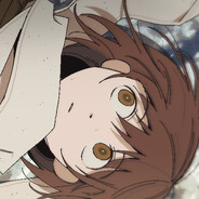 不来梅不养昙花