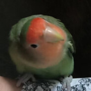 水土不服大魔王