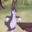 Medium Chungus