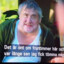 leffe pojken