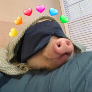 可恶的一号富翁