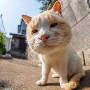 啊哈啊哈啊哈哈