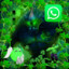 General WhatsApp