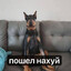 чюпеп