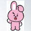 cooky_BTS