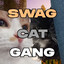 SwagFactGang