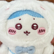 此人绝非扇贝OvO