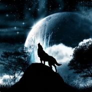 17BigFood - steam id 76561197964447824