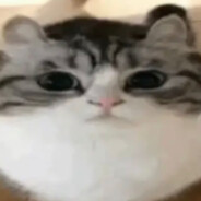 randy butternubs avatar