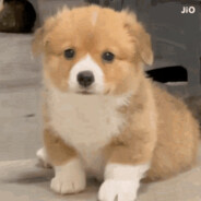 孩子不懂事滋着玩的