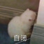 咩都唔系