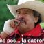 pollo210