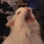 陈