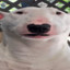 Honík