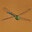 dragonfly69