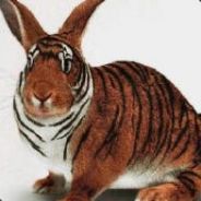 Zagico - steam id 76561197961783893
