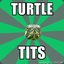 turtletits